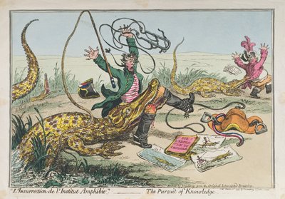 "L&39;Insurrection de l&39;Institut Amphibie" أو The Pursuit of Knowledge ، نشرته Hannah Humphrey في عام 1799 (النقش الملون يدويًا) بواسطة جيمس جيلراي
